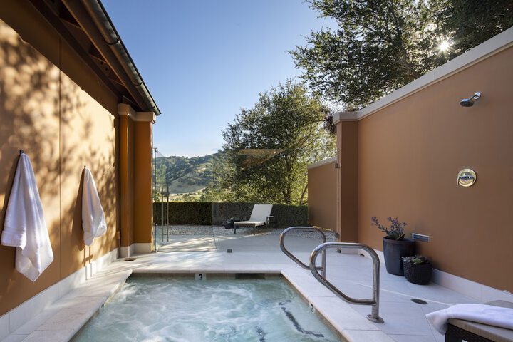 Wellness Treatments