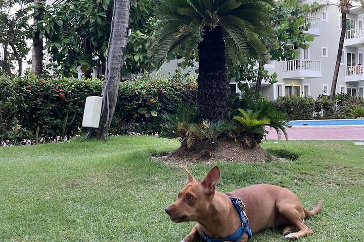 Property Grounds 48 of 56