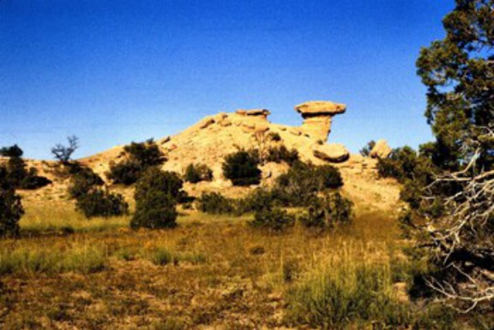 Property Grounds 78 of 95