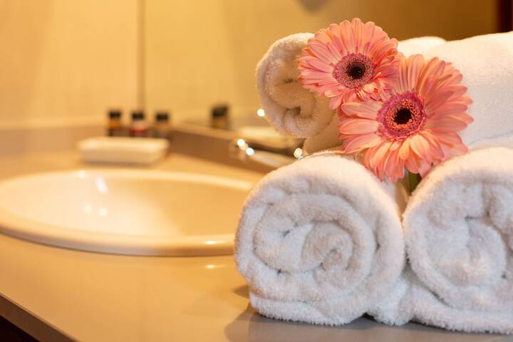 Bathroom Interior Photo