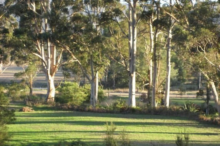 Property Grounds 40 of 56