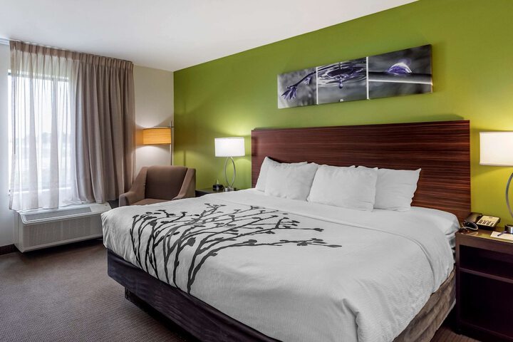 1 King Bed (6 of 13)
