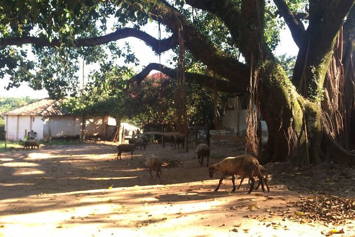 Property Grounds 19 of 27