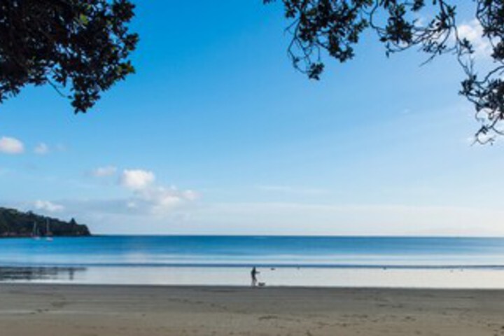 Beach 7 of 18