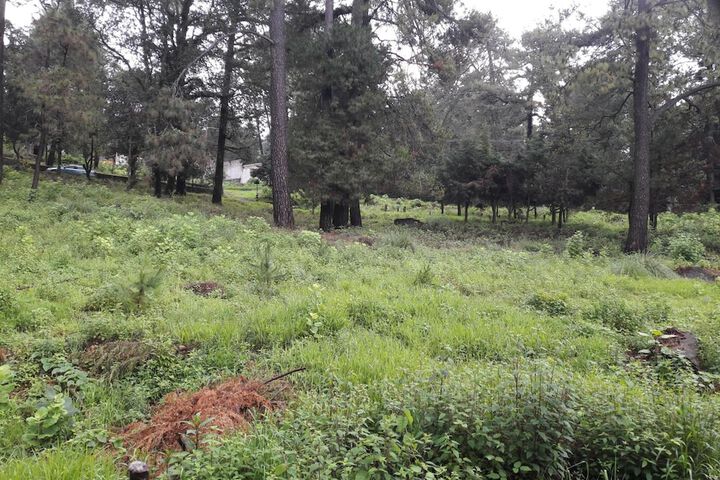 Property Grounds 54 of 64