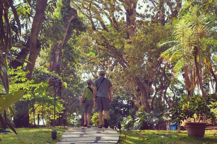 Outdoor Activities 37 of 52