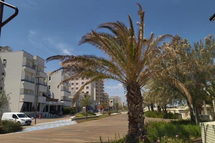 Hotel Executive La Fiorita