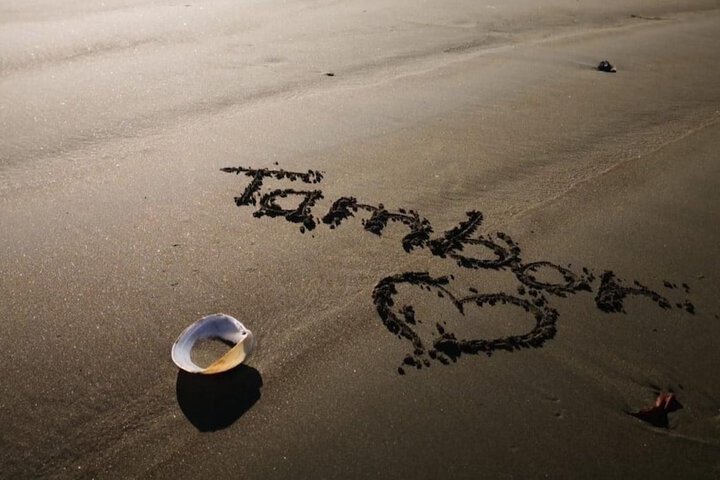 Beach 120 of 169