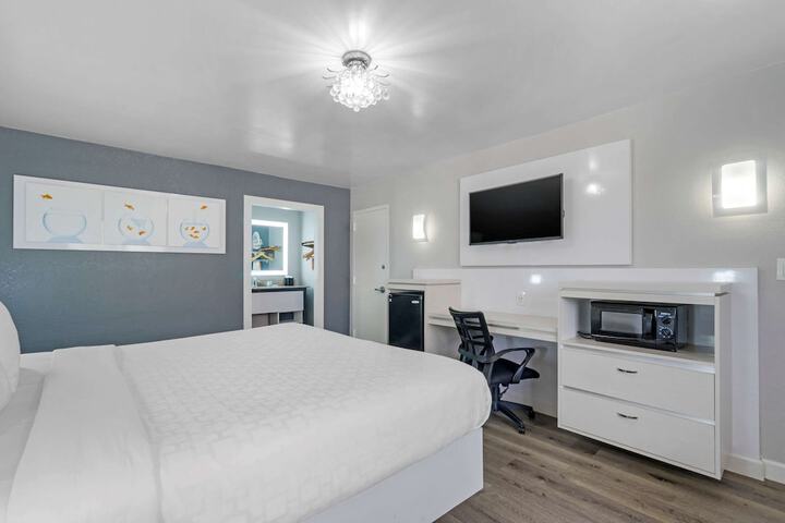 1 King Bed Accessible (4 of 24)