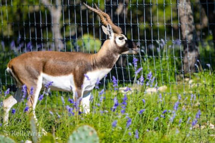 Hotel View 331 of 459