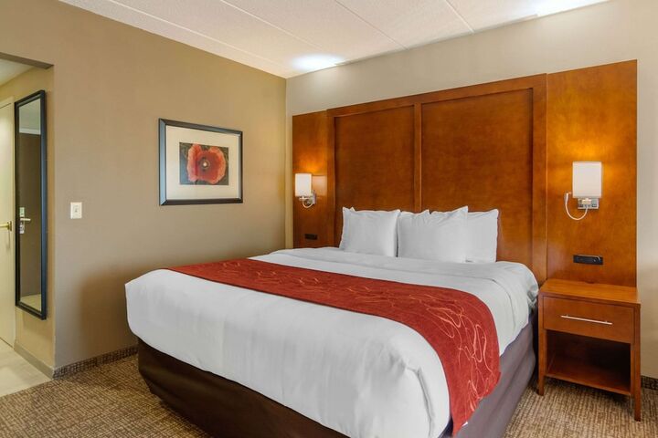 1 King Bed 2 Person Sofa Bed (29 of 30)