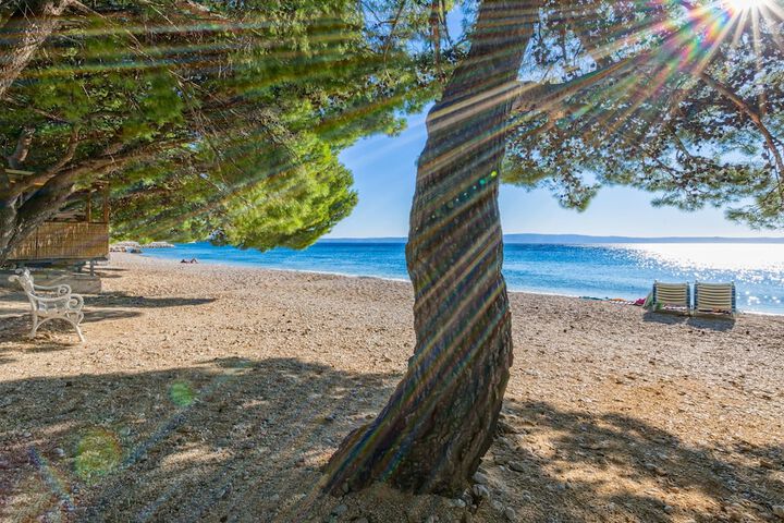 Beach 64 of 83