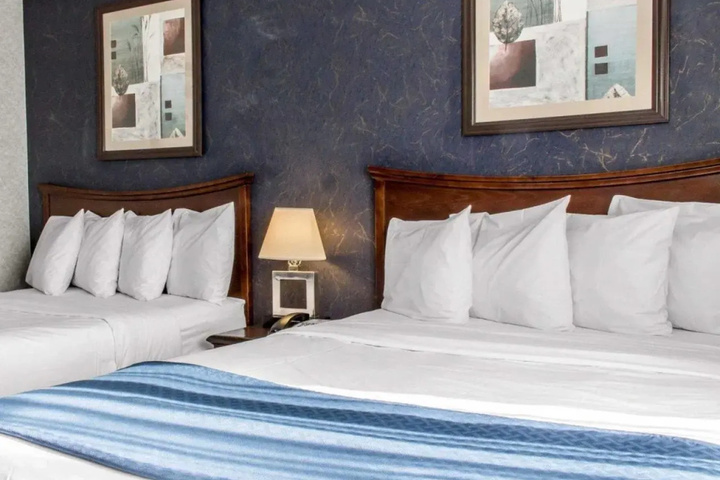 guest_rooms