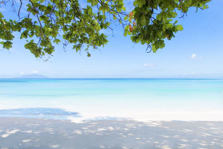 Beach 120 of 135