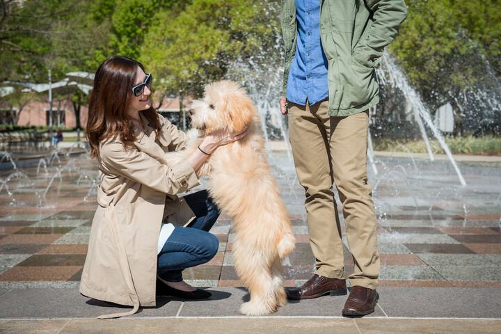 Pet-friendly