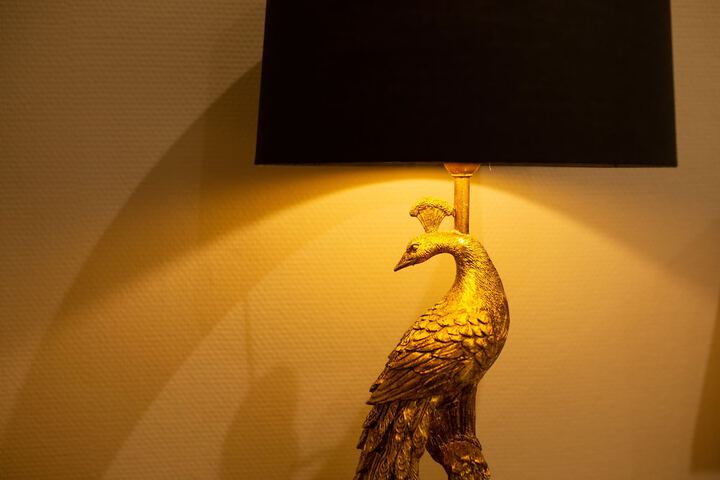 Hotel Interior 8 of 251