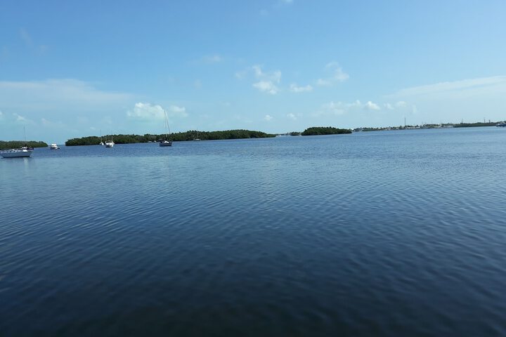 Hotel View 132 of 142