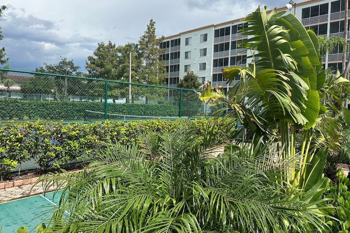 Tennis and Basketball Courts 45 of 69