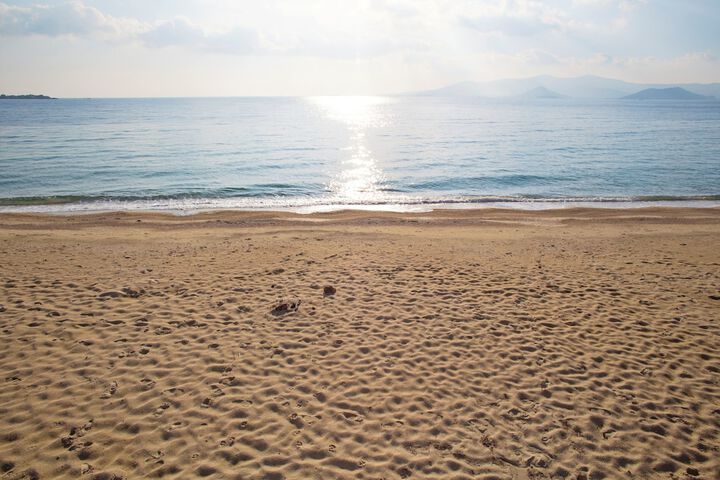 Beach 172 of 204