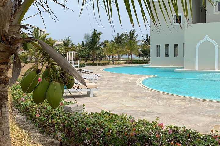 Pool 54 of 138