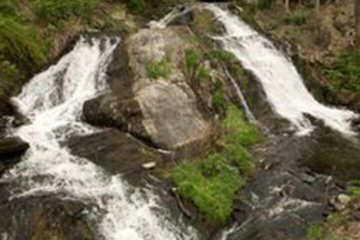 Property Grounds 72 of 77