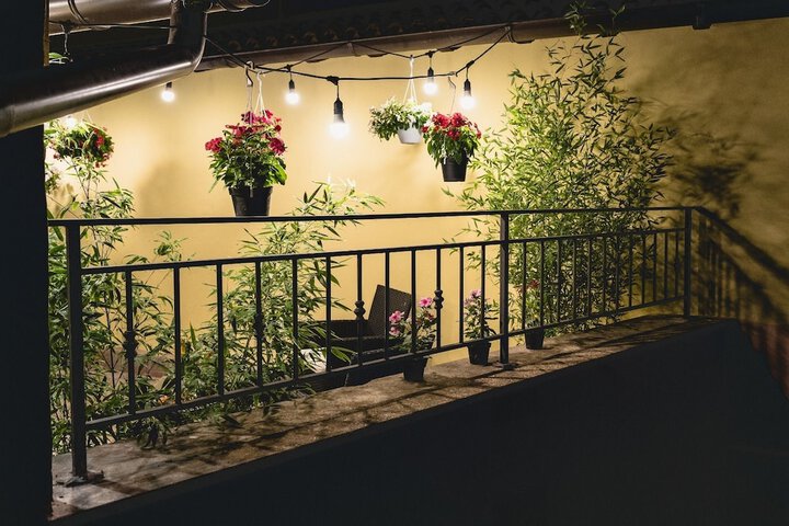 Terrace/Patio 36 of 38