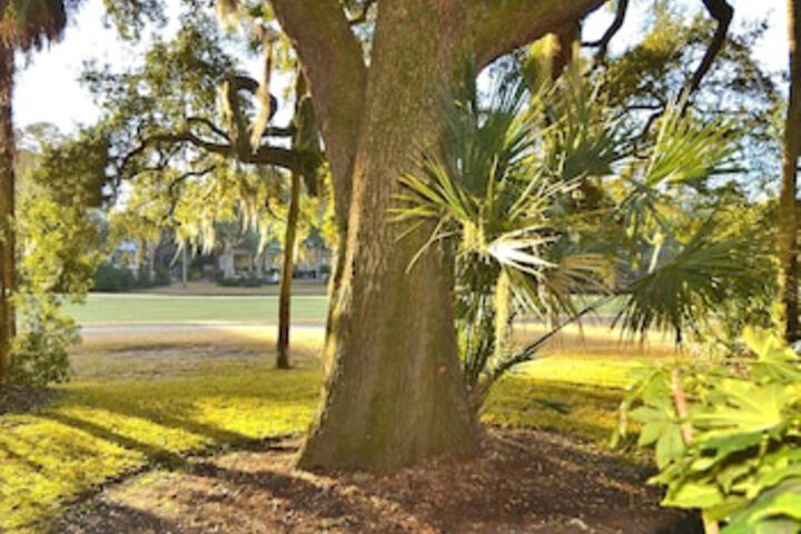 Property Grounds 14 of 24