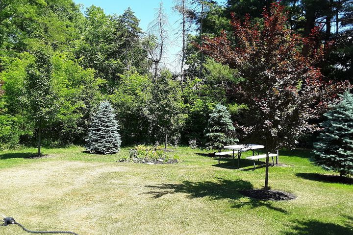 Property Grounds 44 of 50