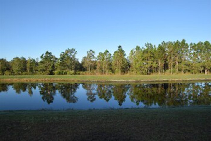 Property Grounds 11 of 27