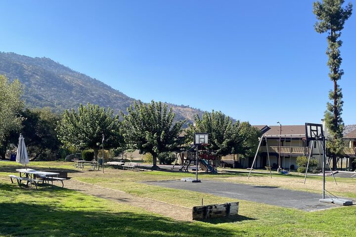 Basketball court