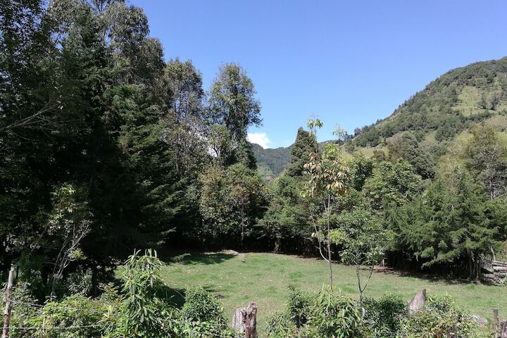 Hotel View 12 of 12