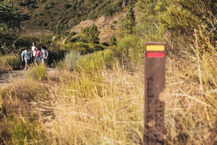 Game drive