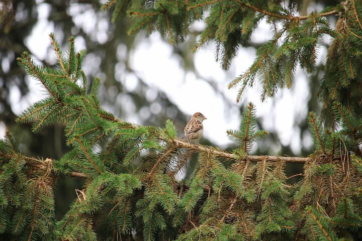Hotel Exterior 20 of 24