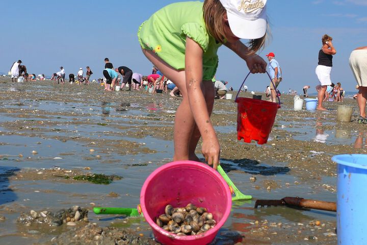 Children's activities