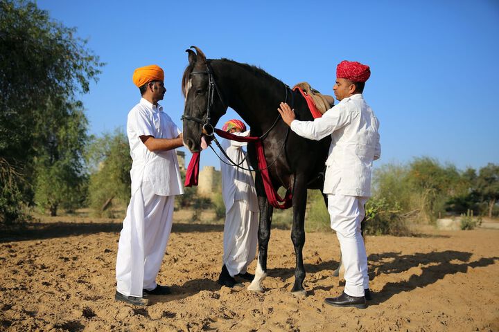 Horseback riding