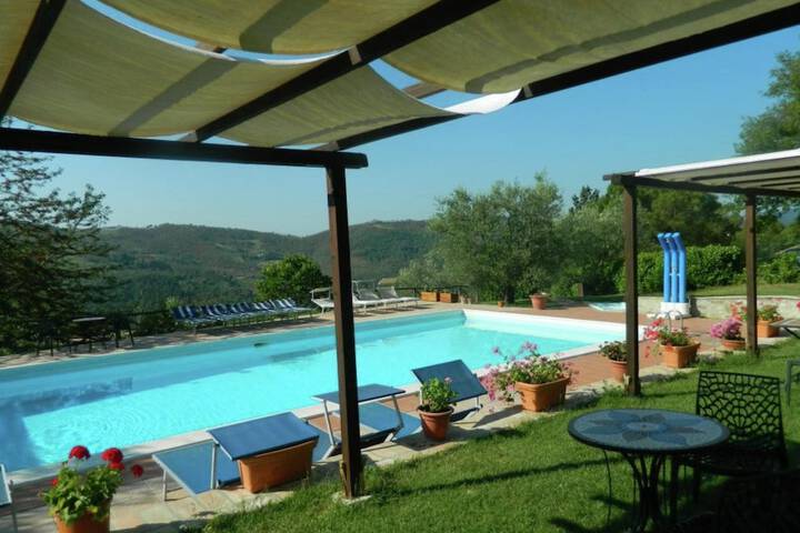 Pool 59 of 113