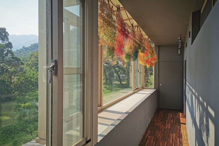 Terrace/Patio 71 of 74