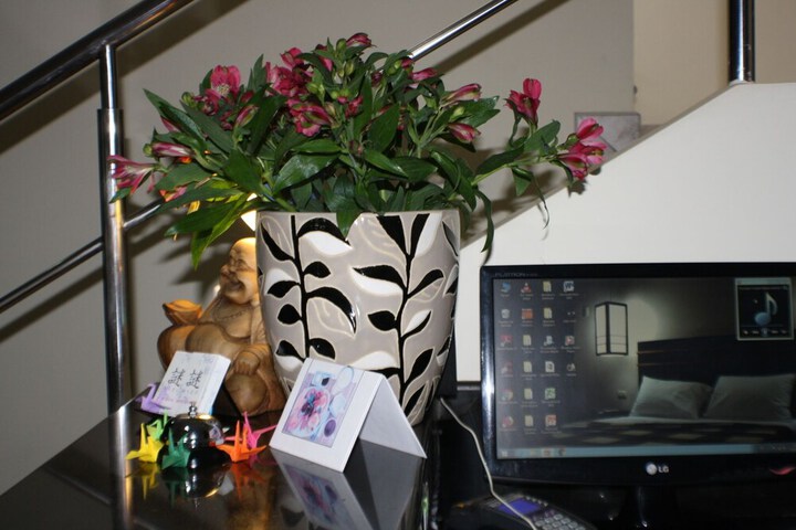 Hotel Boutique Nazo in Manta