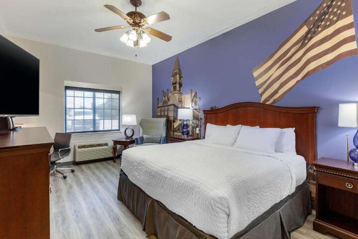 1 King Bed (17 of 22)