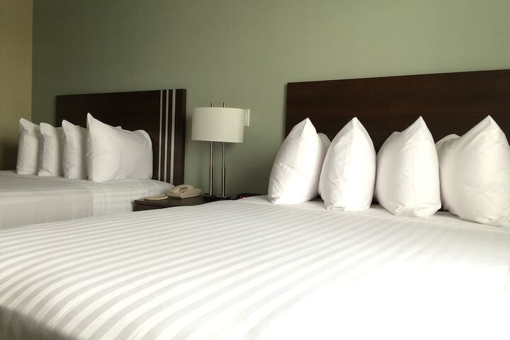 View from room