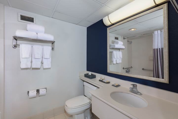 1 King Bed 1 Bedroom Suite (1 of 9)