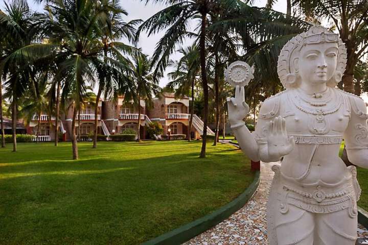 Garden view