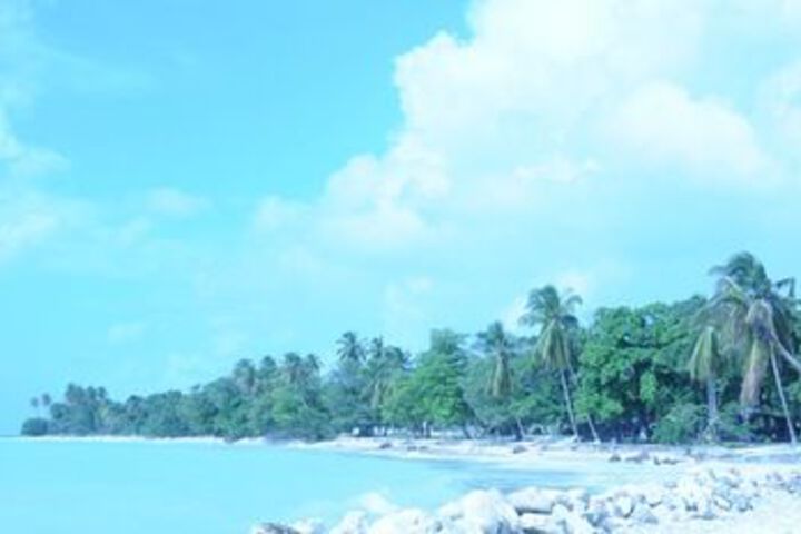 Beach 8 of 52