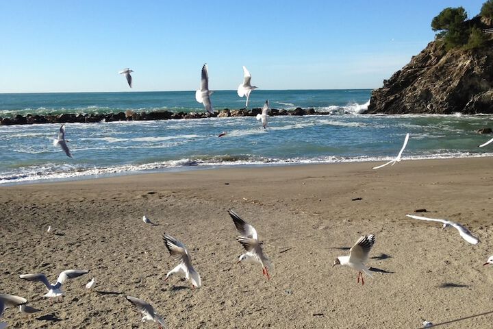 Beach 45 of 54