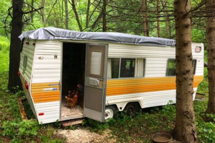 Property Grounds 8 of 22
