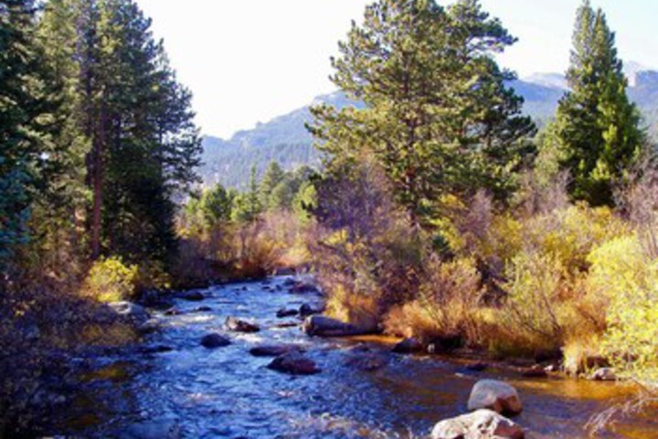 Property Grounds 8 of 14