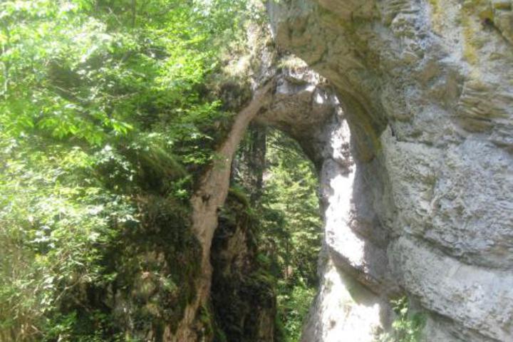 General 9 of 65