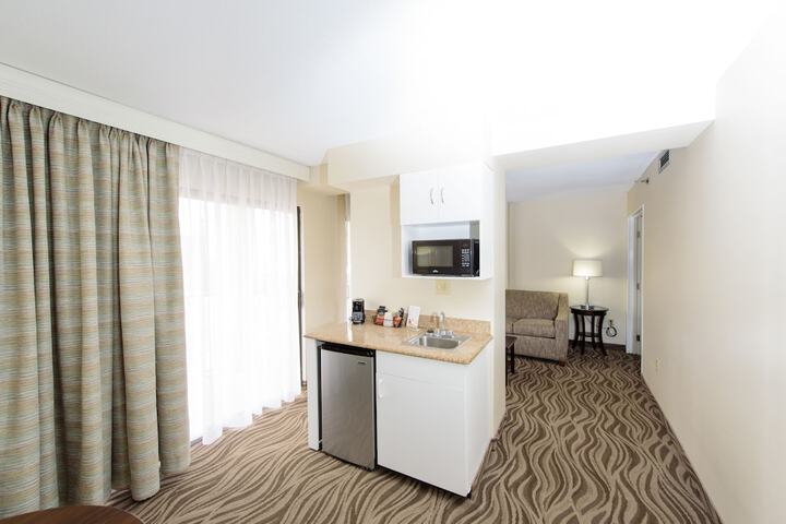 1 King Bed Suite (9 of 31)