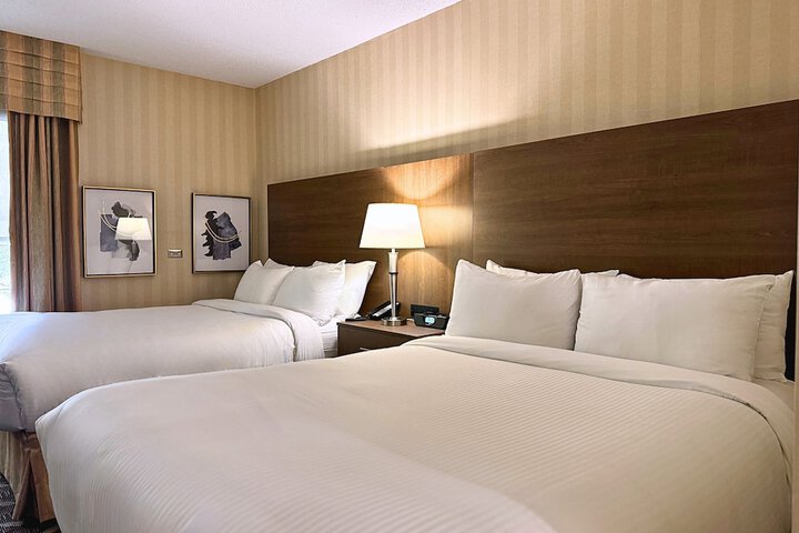 Room 8 of 113