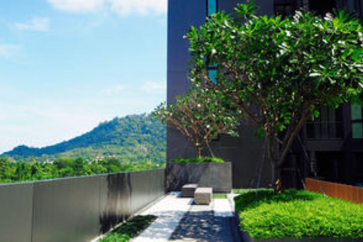 Terrace/Patio 27 of 31